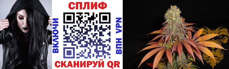 Купить наркотик аптеки Оса Галлюциногенные грибы  Кодеин  ГАШИШ  Бошки Шишки  АМФ  COCAIN 