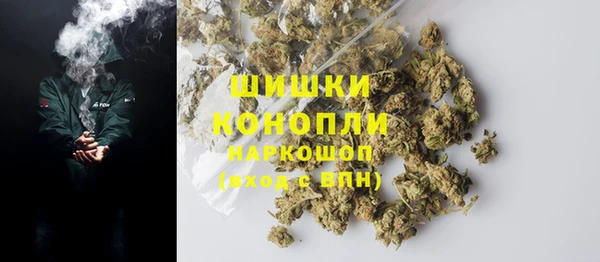 ГАЛЛЮЦИНОГЕННЫЕ ГРИБЫ Балабаново