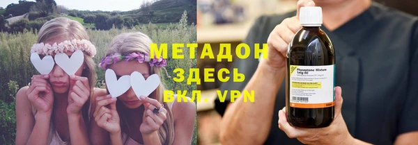 прущие грибы Арсеньев