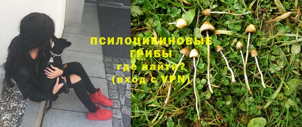 тгк Аркадак