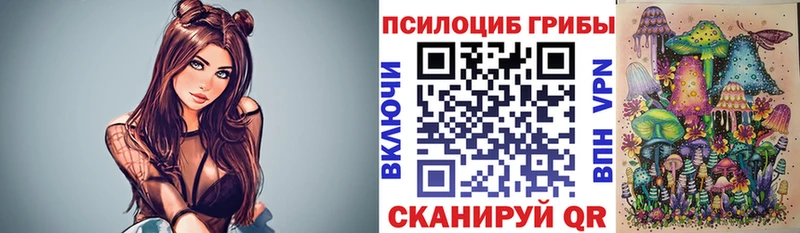 Псилоцибиновые грибы Psilocybe  Оса 